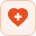 Icon Saúde